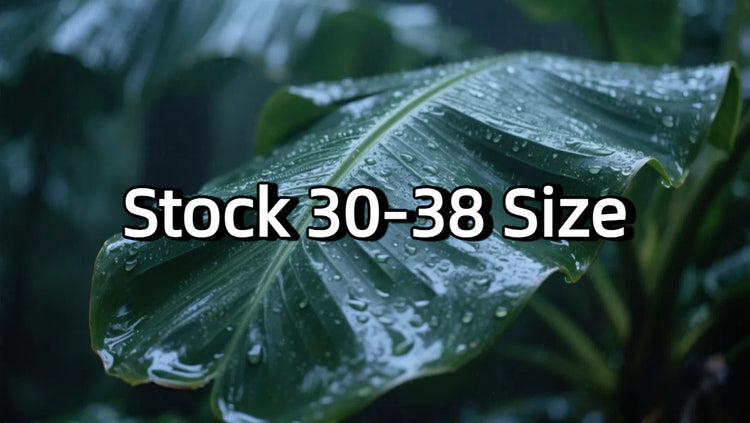 Stock 30-38 Size